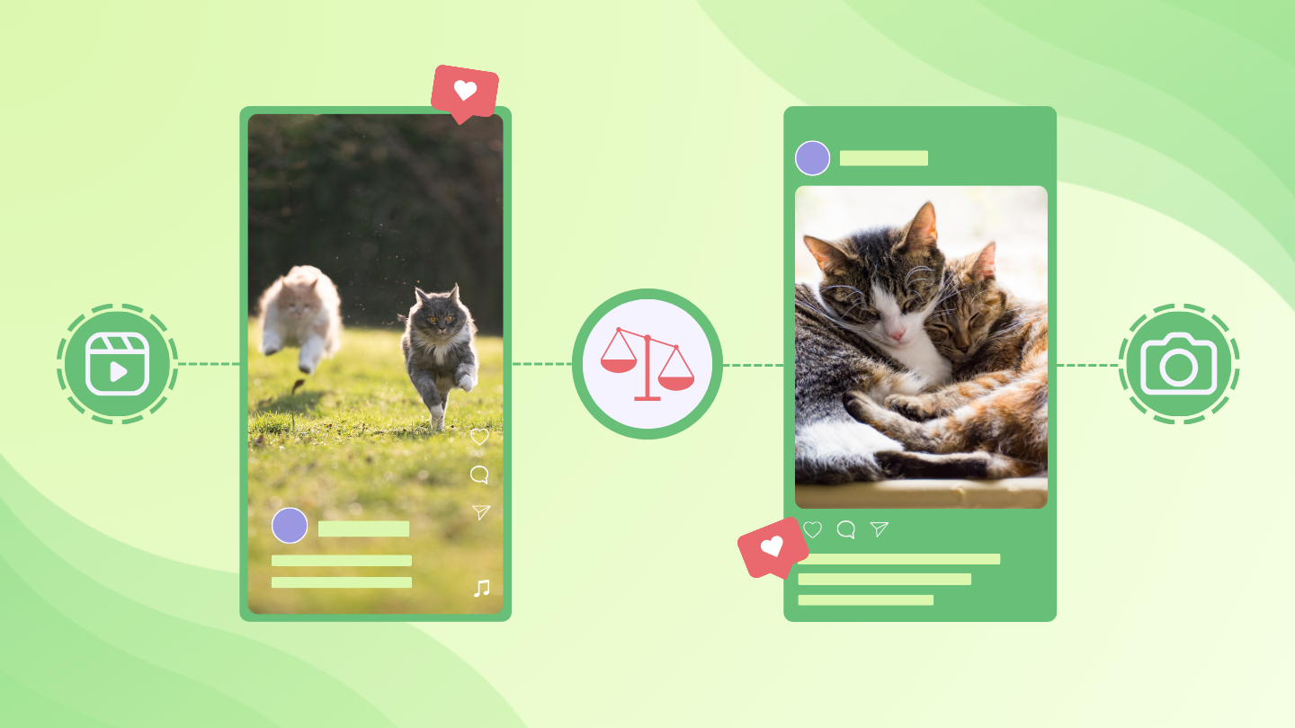 Instagram Reels vs posts — which one is better for your business? 