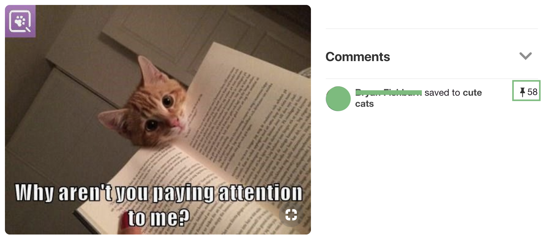 Social Media Analytics Pinterest Saves