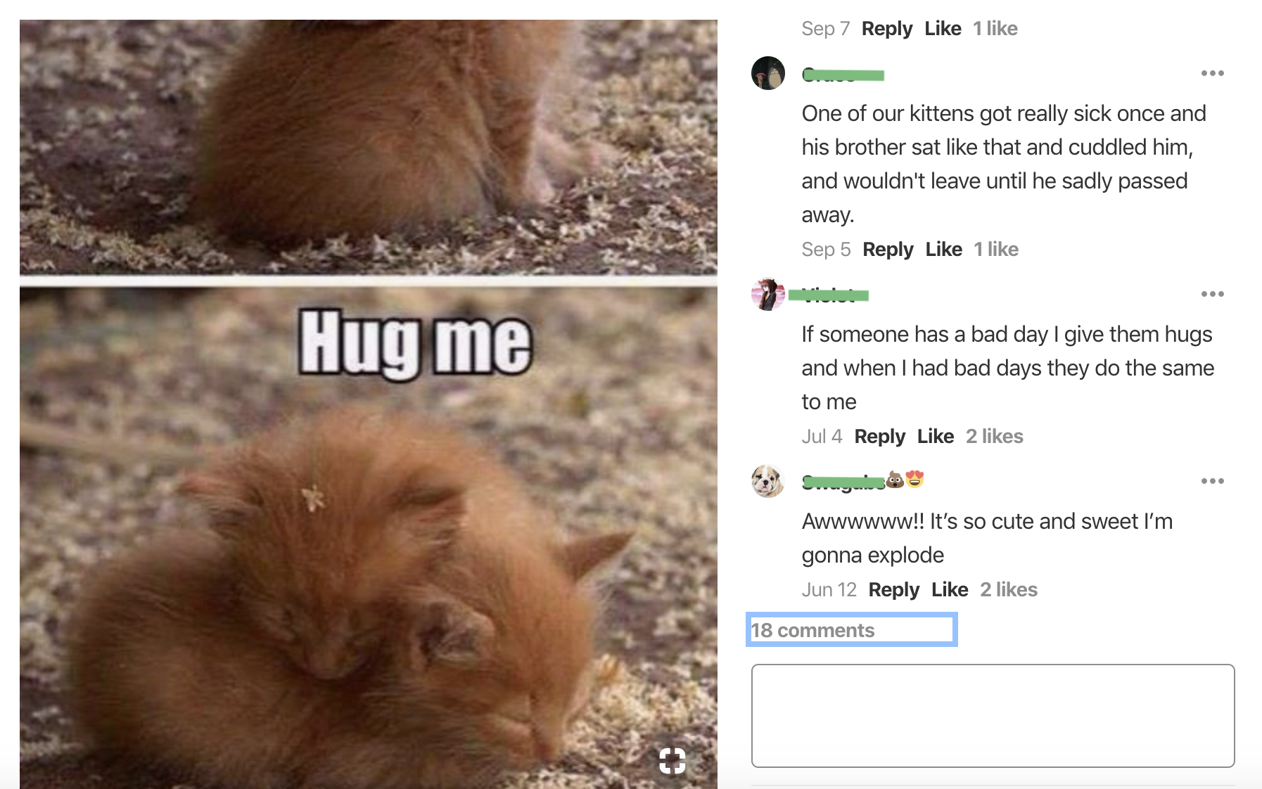 Social Media Analytics Pinterest Comments