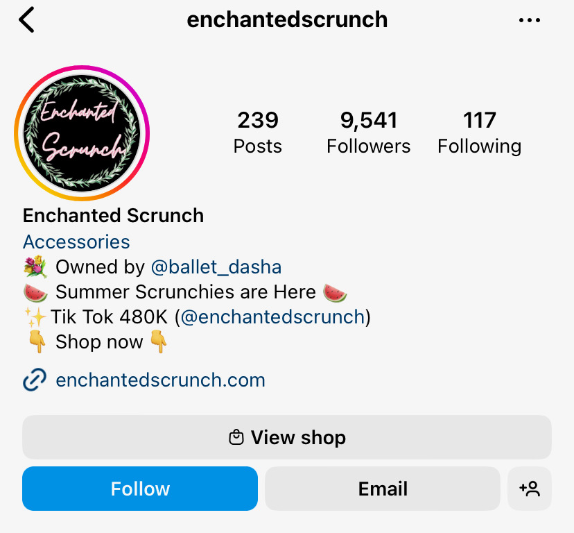 Screenshot of the Enchanted Scrunch Instagram profile