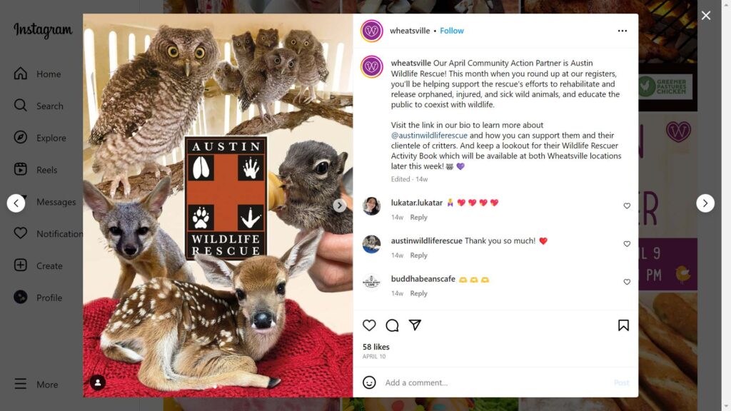 Example of local businesses cross-promoting on Instagram