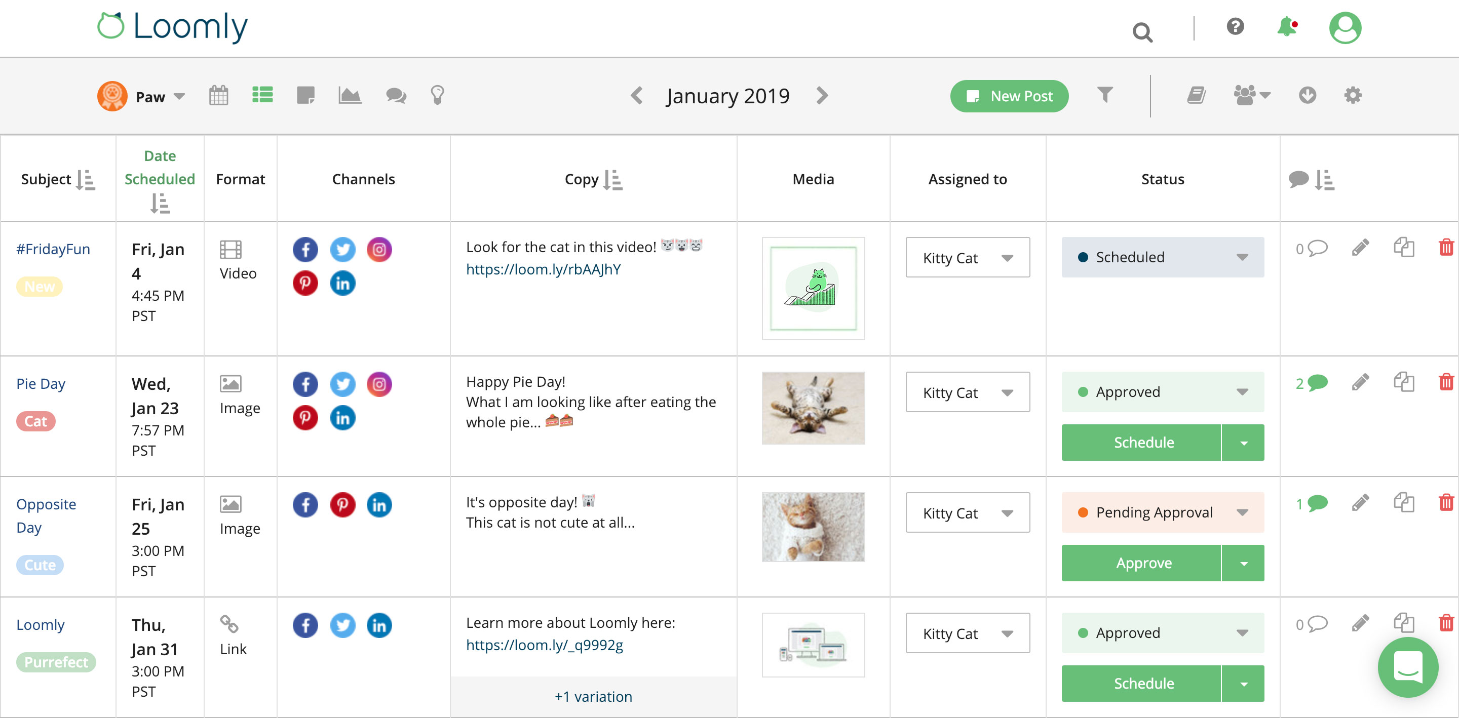 Loomly 3.0 List View Screenshot