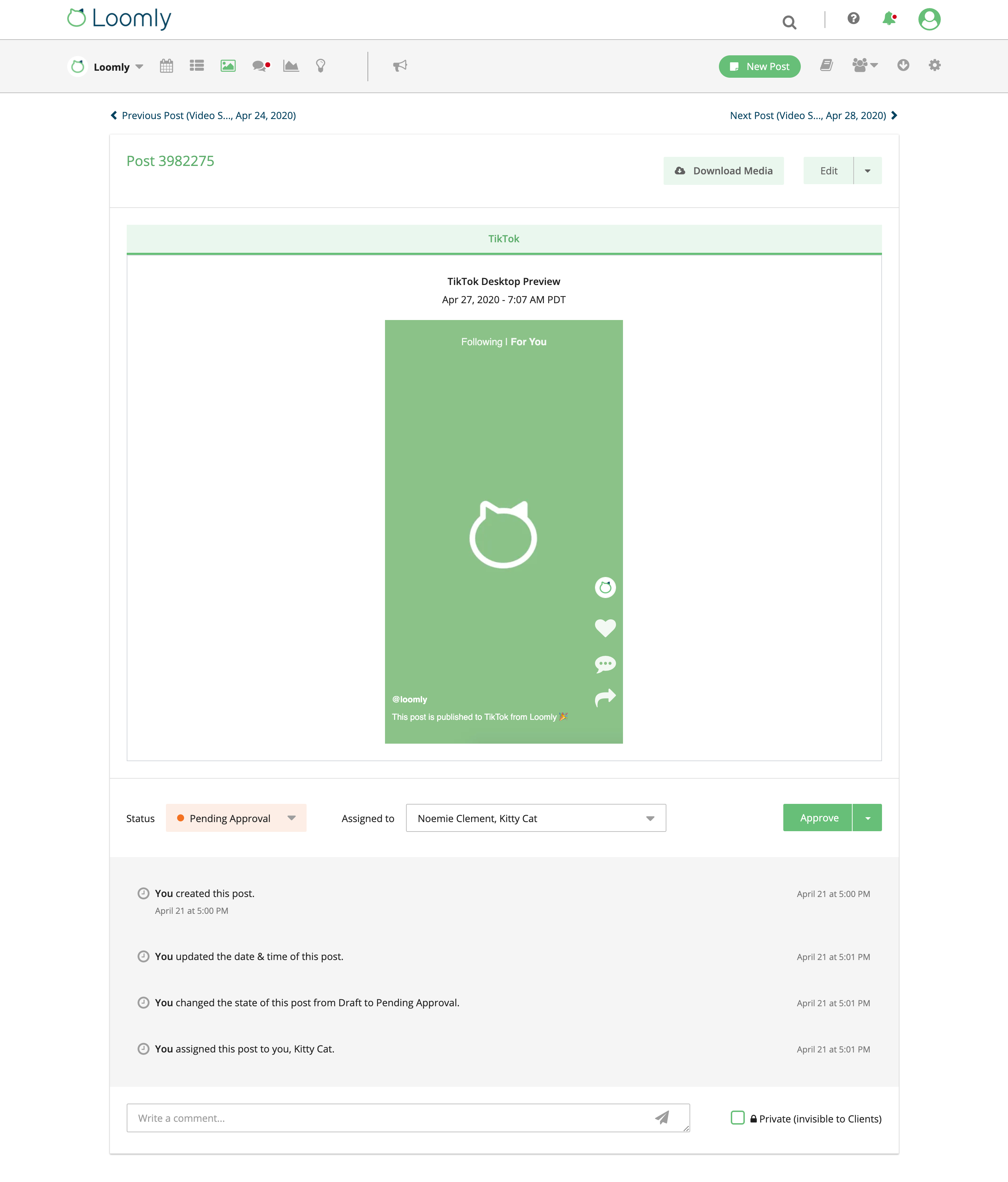 Loomly TikTok Integration Post View Preview Comment Approve