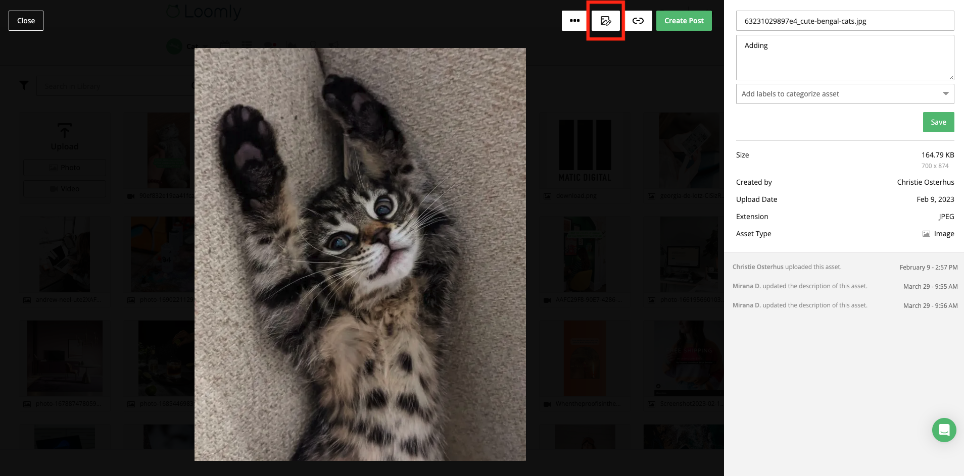 Loomly Studio v2 - Image Editor (Library 2)