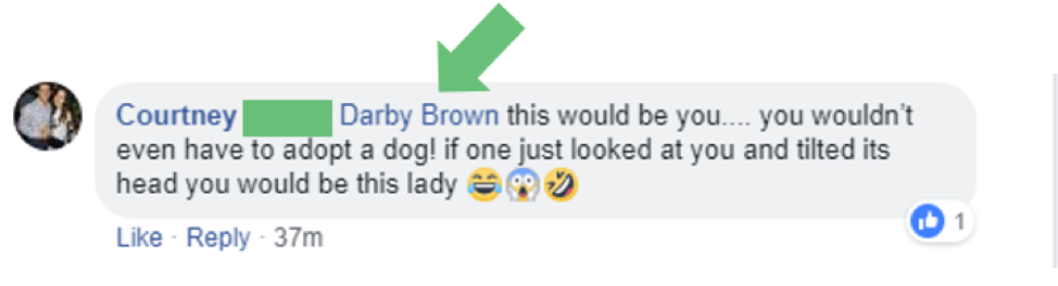Social Media Analytics Facebook Tagged Comments