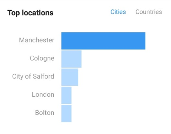 Social Media Analytics Instagram Audience Metrics