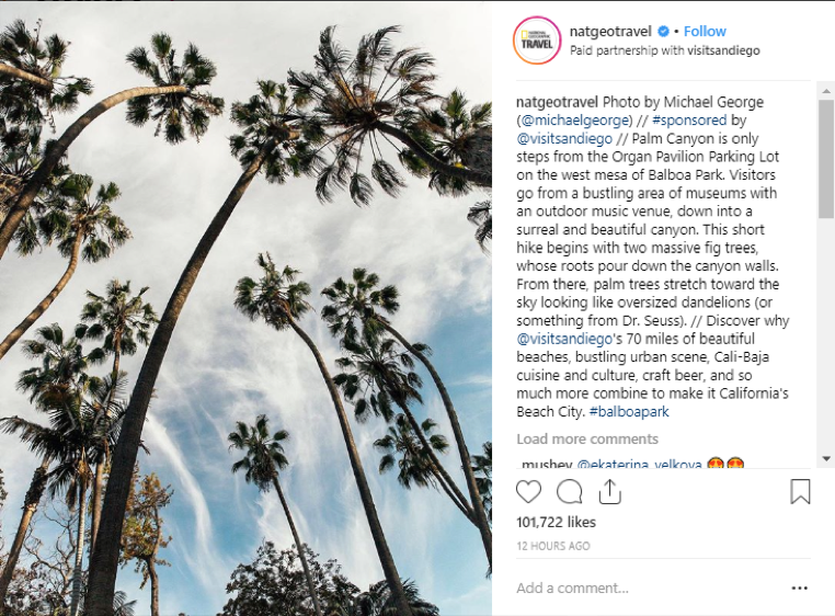 Social media trends 2019 native advertising