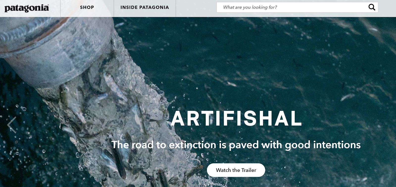 brand storytelling example patagonia