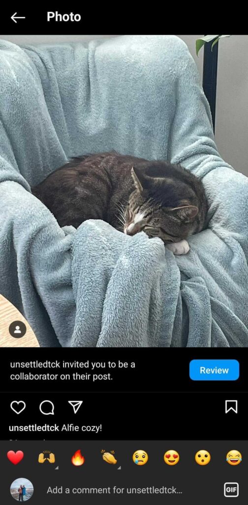 schedule instagram collab post