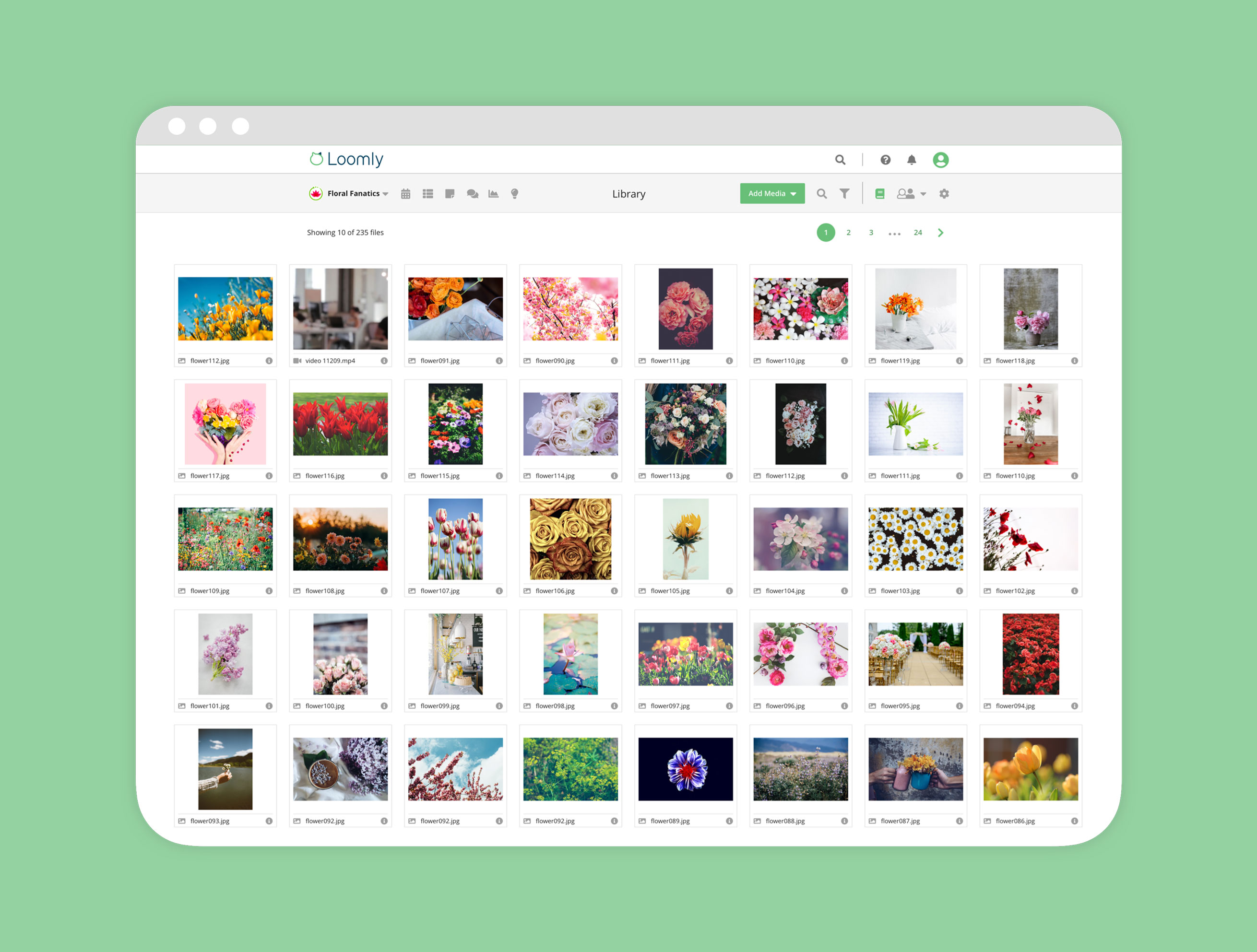 digital asset management software Loomly Library