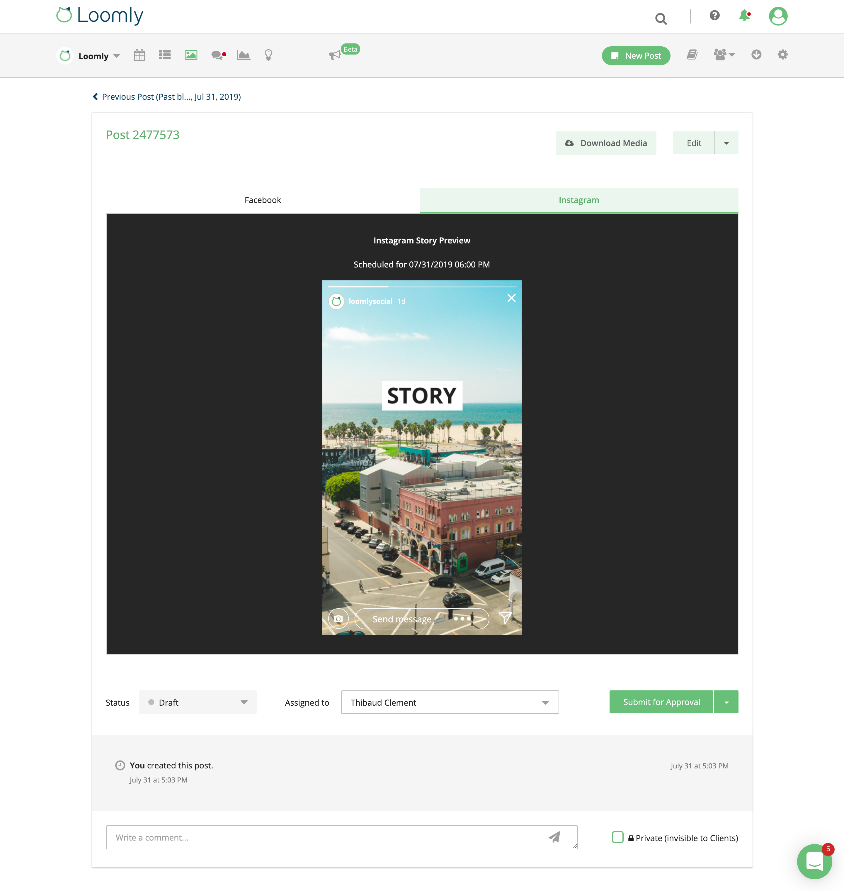 facebook instagram stories Loomly post view