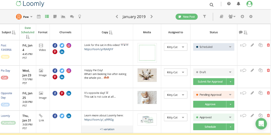 Social Media Calendar List View
