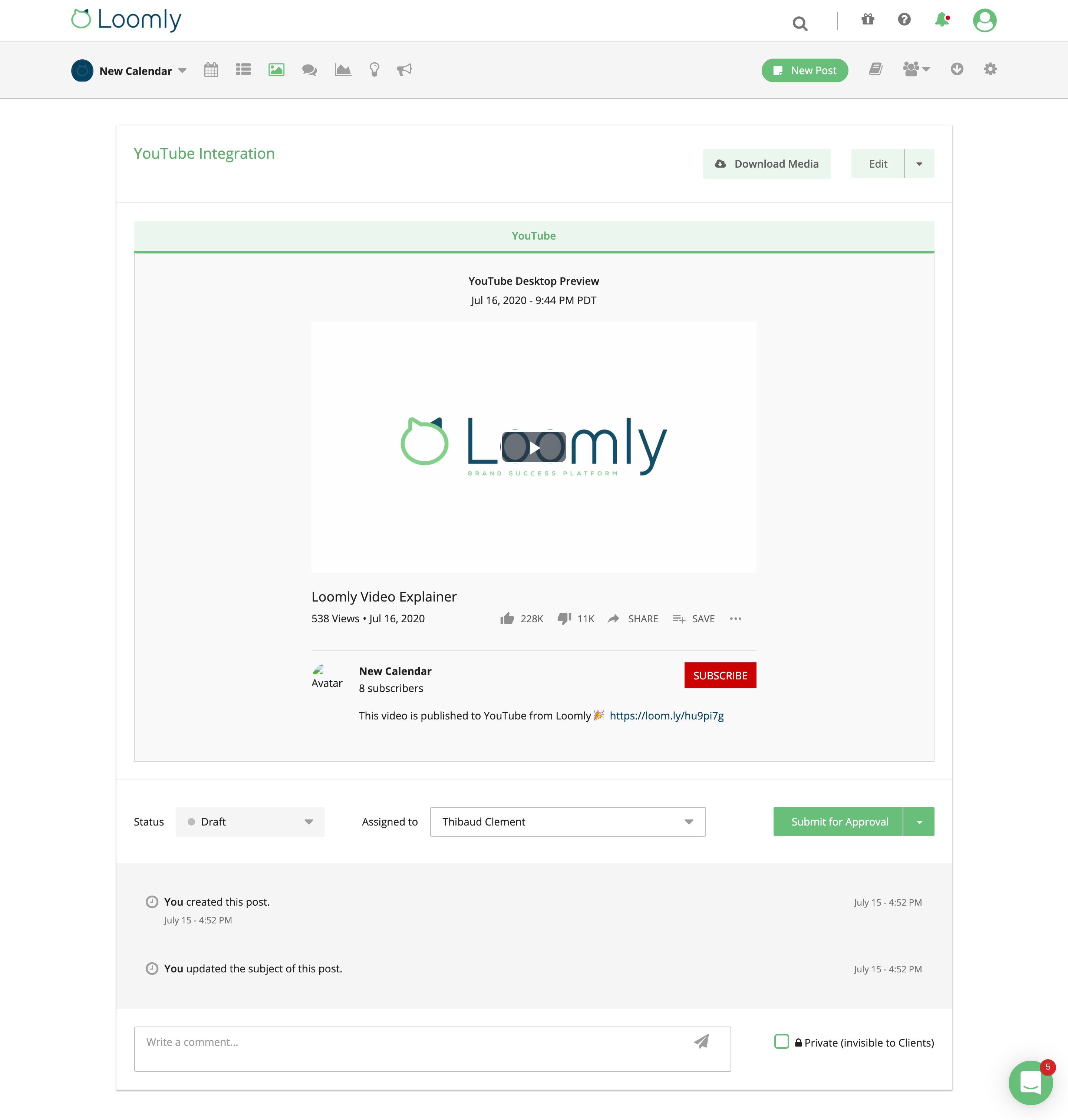 loomly x youtube integration post view