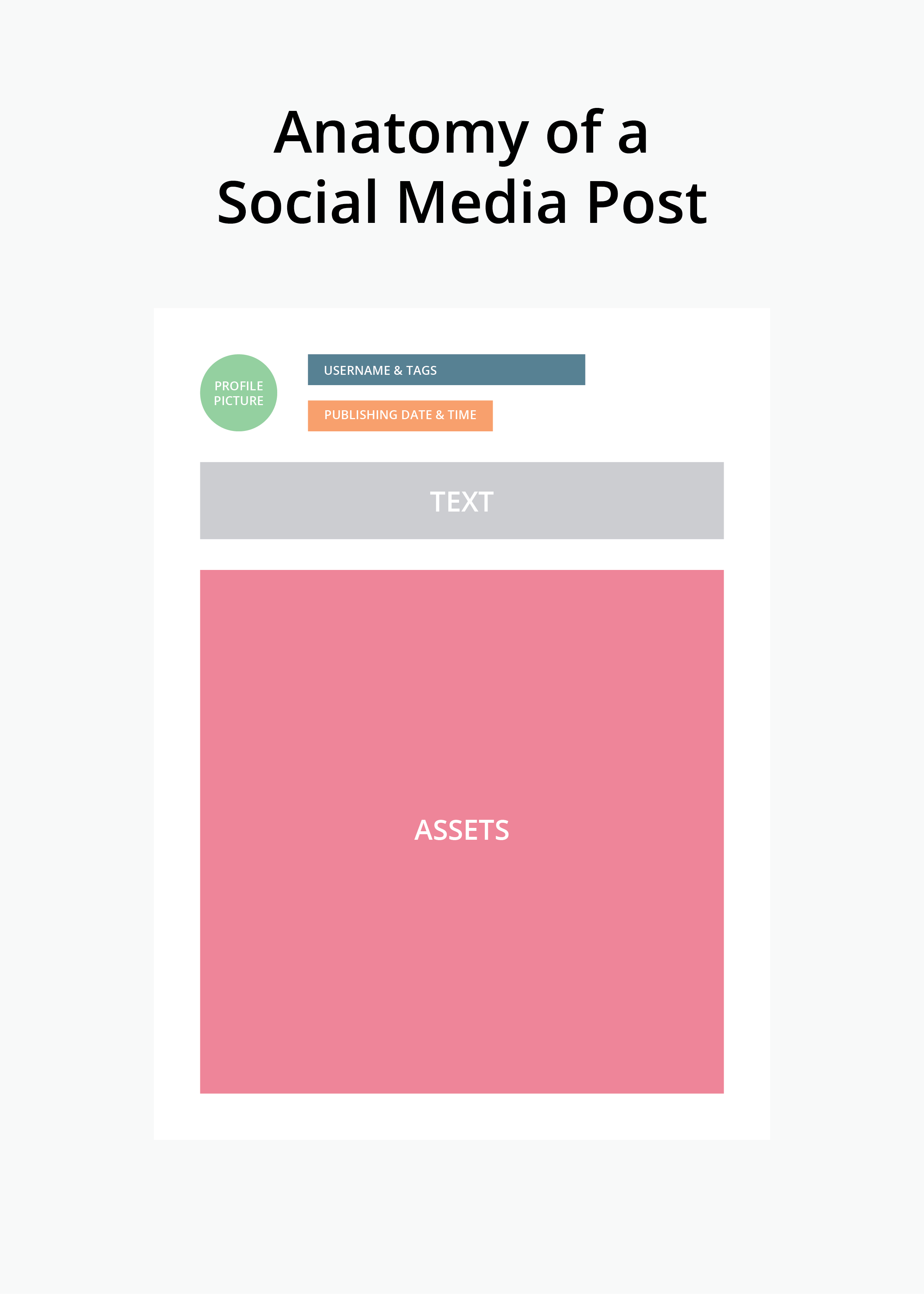 social media management anatomy of a social media post