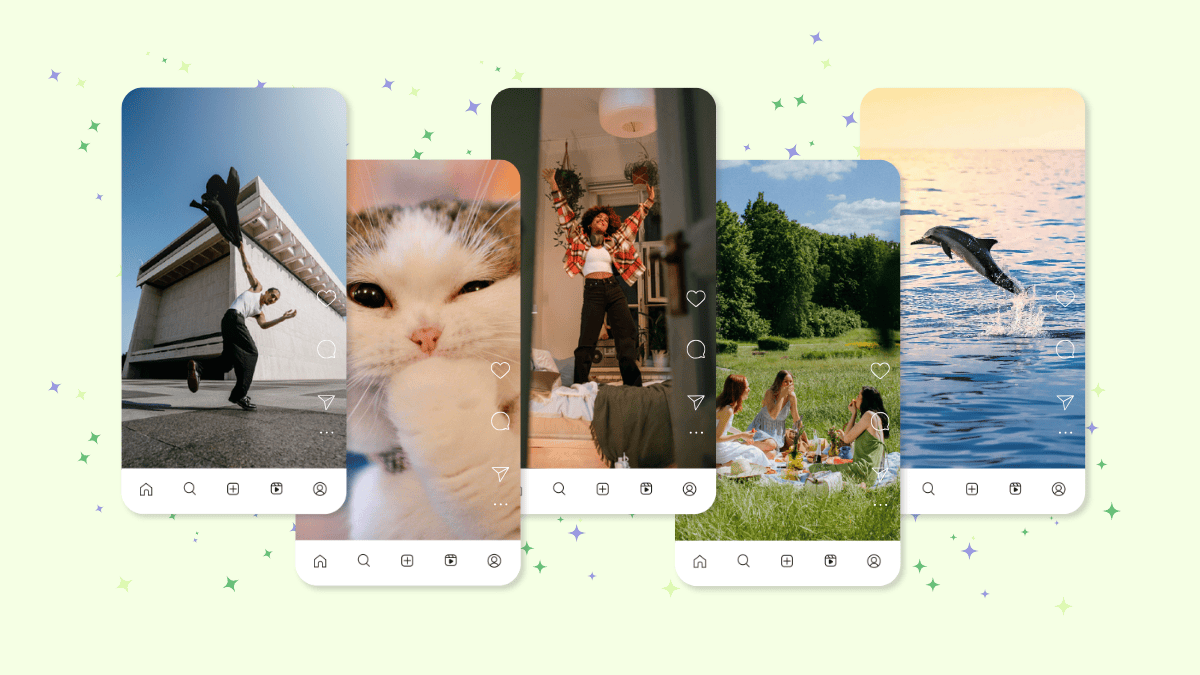 Social media memes 2024 