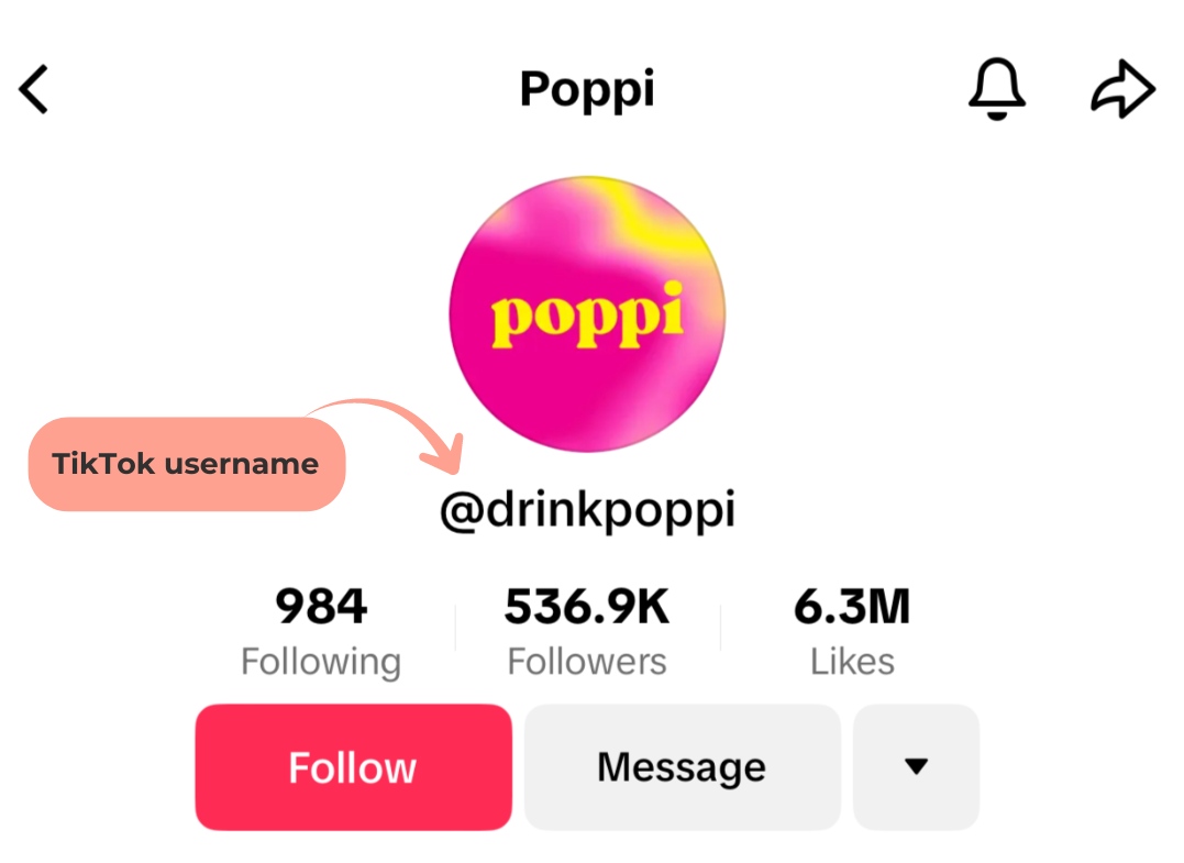TikTok username rules