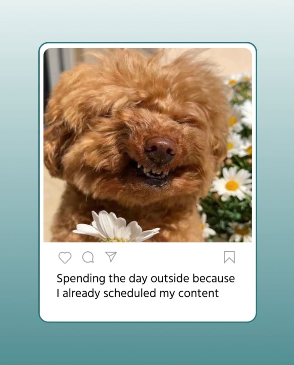 scheduling - step 5 in a social media workflow
